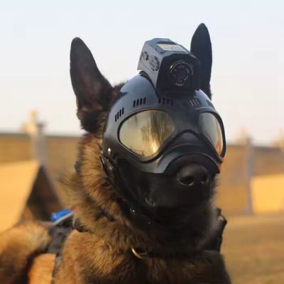 생중계 군대의 군사 전술 헬멧 카메라 4G GPS와 2.4GHz 와이파이